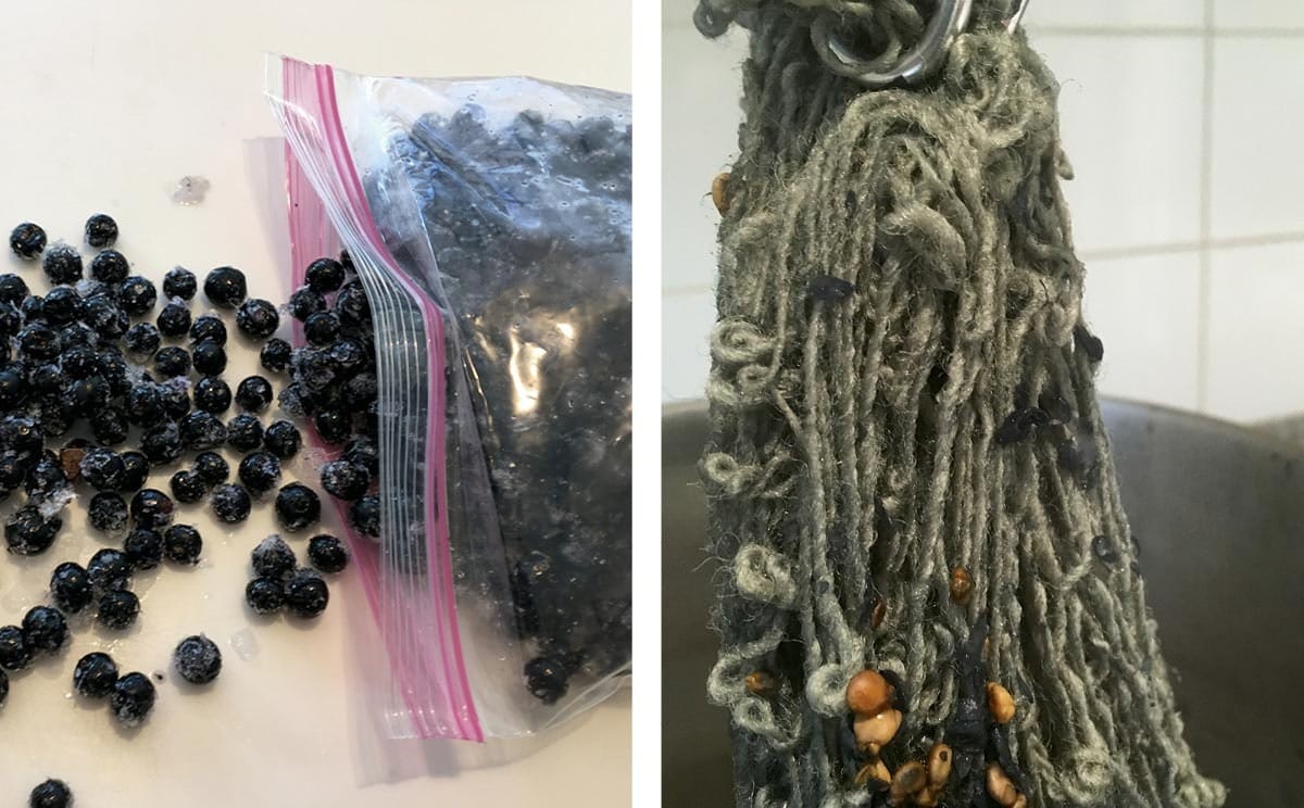 Dyeing-with-Buckthorn-4