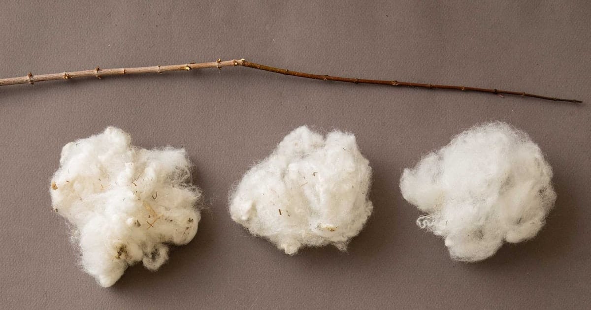Willowing Wool: Building Community by Sharing the Work