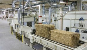 Panda Biotech’s Dixie Carter: First Mover In U.S. Industrial Hemp
