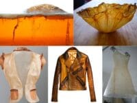 Biotechnology in Fashion