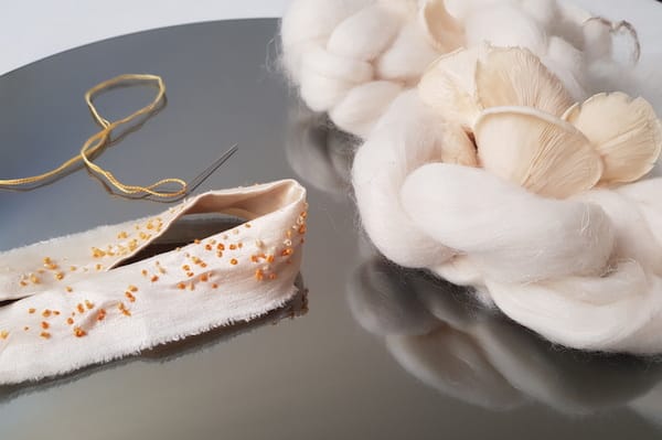 mushroom fiber clothing